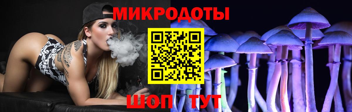 купить   Вход с VPN  Бердск  Галлюциногенные грибы Psilocybine cubensis 